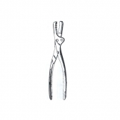 Bone Holding Forceps